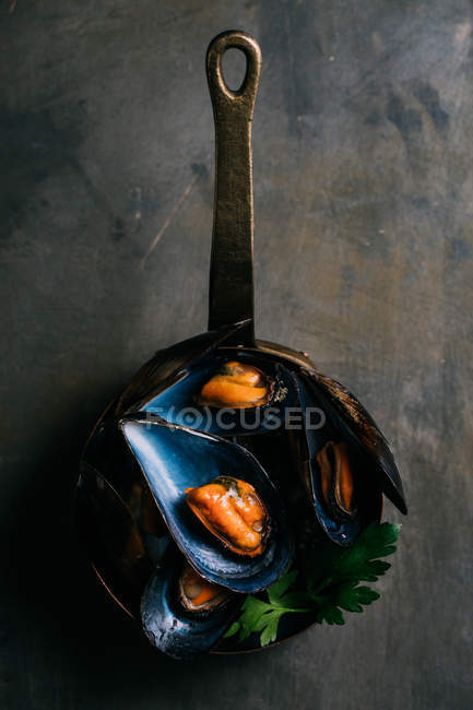 Moules fraîches bouillies — Photo de stock