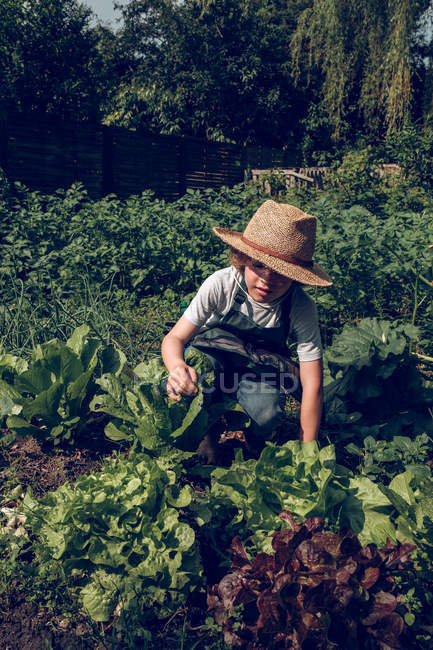 Garçon travaillant dans le jardin — Photo de stock