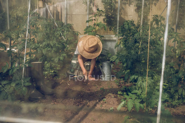 Мальчик, работающий в почве в теплице — стоковое фото