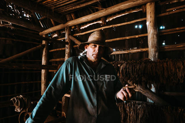 LA HABANA, CUBA - 1 MAGGIO 2018: Uomo adulto serio che tiene accendino e sigaro guardando la fotocamera tra l'essiccazione del tabacco nel fienile dell'azienda agricola . — Foto stock