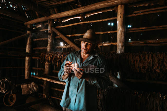 LA HABANA, CUBA - MAY 1, 2018: Local man lighting cigar among tobacco drying in farm barn. — Stock Photo
