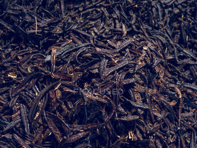 Mucchio di semi di carrubo di colore nero nei baccelli sul magazzino. — Foto stock
