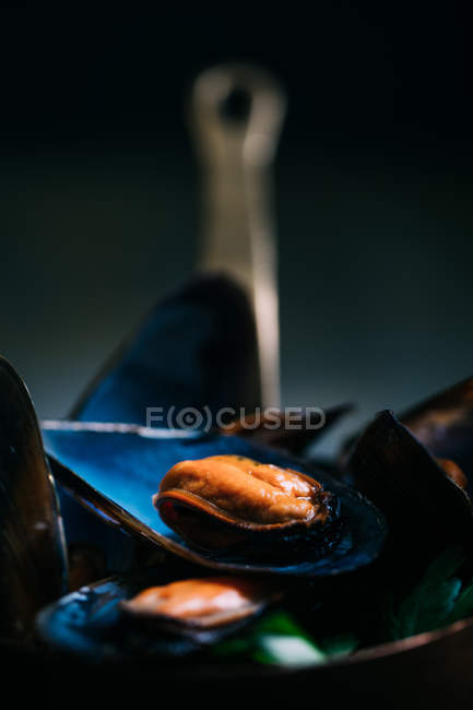 Варені свіжих мідій — стокове фото