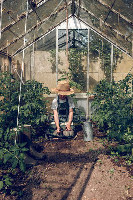 Boy working in greenhouse — Stock Photo
