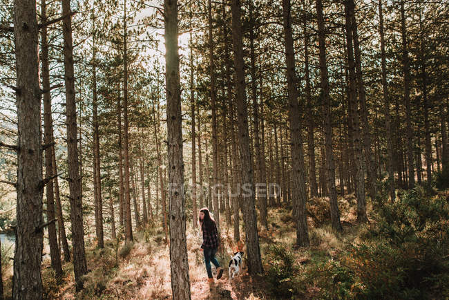 Mujer con perro paseando en el bosque - foto de stock