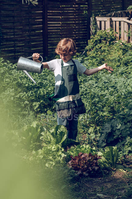 Мальчик поливает растения в саду — стоковое фото