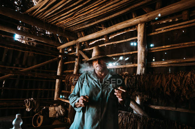 LA HABANA, CUBA - MAIO 1, 2018: Homem local segurando isqueiro e charuto e olhando na câmera entre as folhas de tabaco secando no celeiro da fazenda . — Fotografia de Stock
