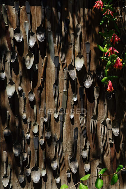 Garden composition of vintage spoons, forks and knives attached to withered wooden plank wall with plants around on sunny day - foto de stock