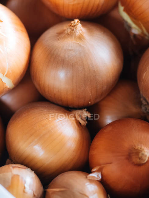 Close-up of fresh onion bulbs in heap — Stock Photo