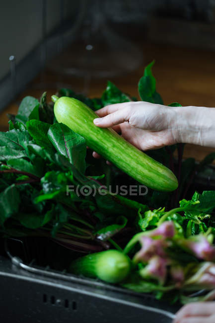 Lavare a mano verdure fresche nel lavello della cucina — Foto stock