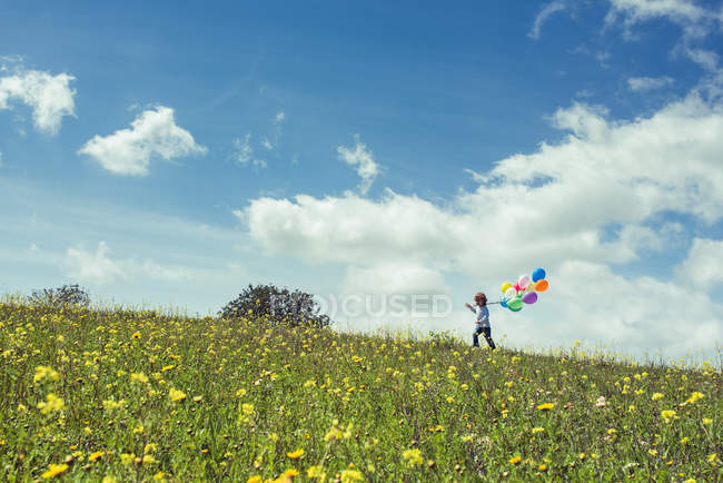 Vista lateral del niño caminando en el prado de flores silvestres con globos - foto de stock