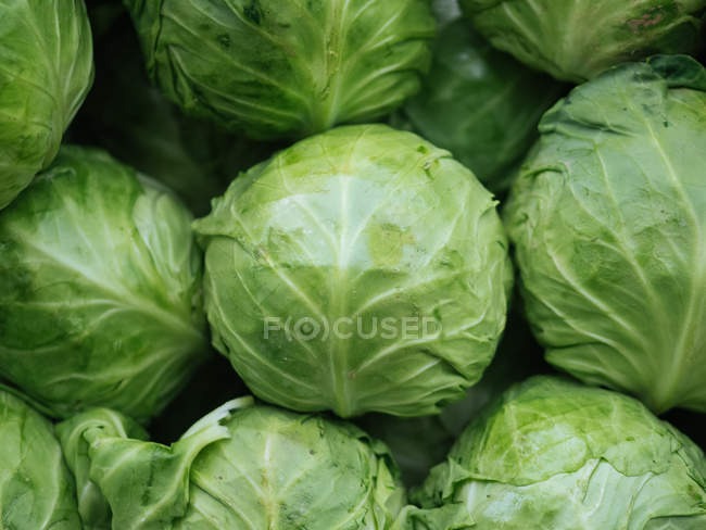 Heap of green fresh cabbages at farmer market — Stock Photo