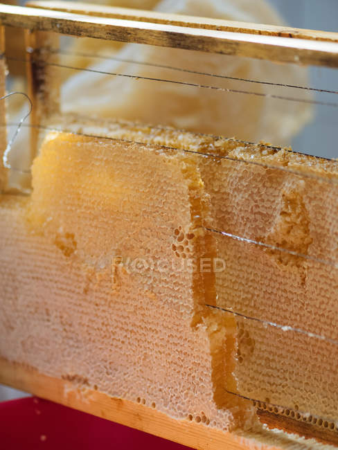 Close-up de células de cera dourada de favo de mel preenchido com mel orgânico dispostos em moldura de madeira — Fotografia de Stock