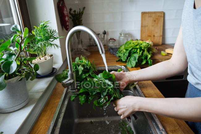 Mani femminili che lavano verdi freschi in lavandino di cucina — Foto stock