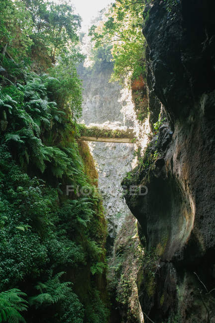 Perspective view of rocky gorge in canyon with green tropical foliage in bright sunlight, Spain — Stock Photo