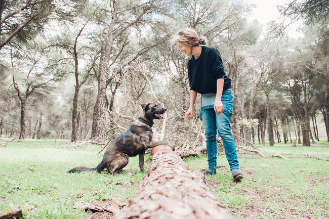 Grande cão marrom em pé no log na floresta com o proprietário do sexo feminino — Fotografia de Stock