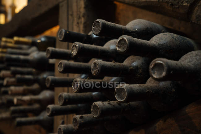Cofre de vinho cheio de garrafas em prateleiras de madeira escura — Fotografia de Stock