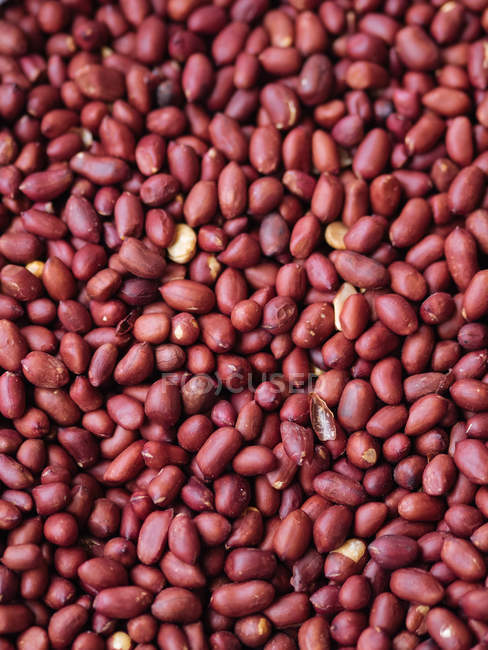 Gros plan de cacahuètes crues séchées en tas — Photo de stock