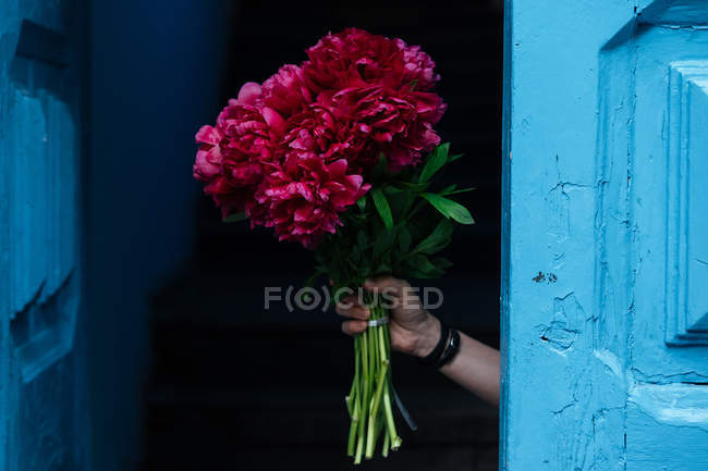 Mano che tiene vivido bouquet di peonie rosa davanti alla porta aperta in legno blu — Foto stock
