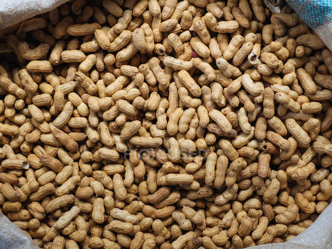 Close-up of fresh shelled peanuts in sack — Stock Photo