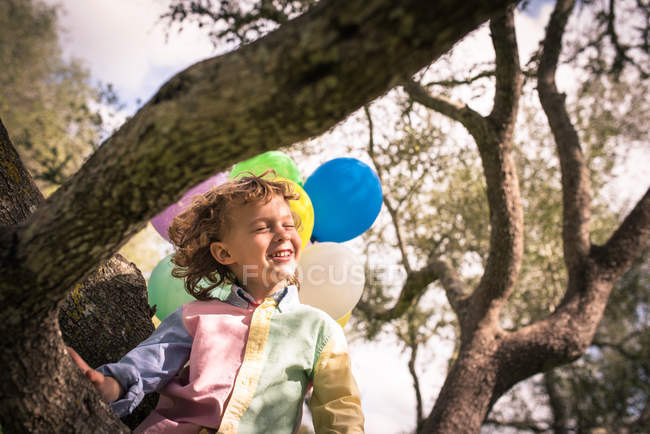 Мальчик-дошкольник сидит с закрытыми глазами на дереве с воздушными шарами на солнце — стоковое фото