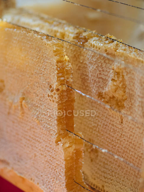 Close-up of golden wax cells of honeycomb filled with organic honey — Stock Photo