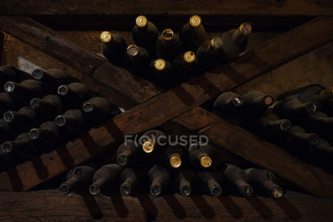 Weinkeller voller Flaschen in dunklen Holzregalen — Stockfoto