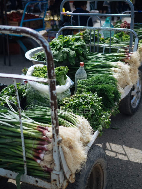 Cachos de verduras frescas no carrinho no mercado agricultor — Fotografia de Stock