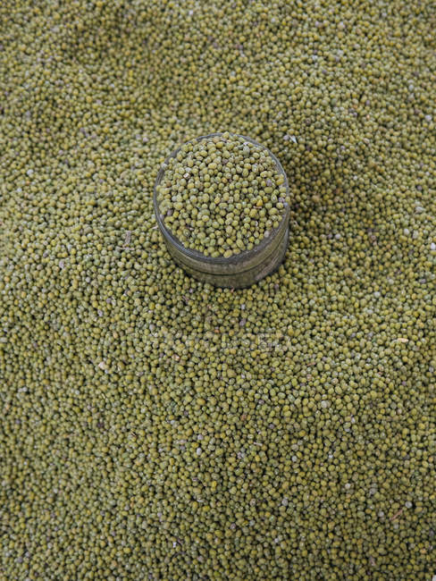 Vaso sobre montón de guisantes verdes secos - foto de stock