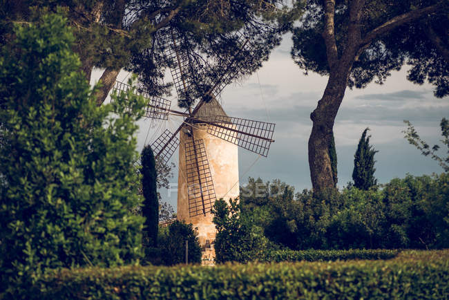 Exterior of stone windmill in nature in summer — Stock Photo