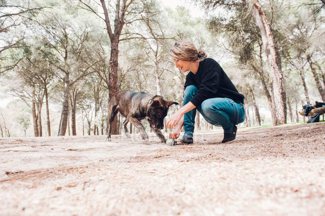 Grande cão marrom e proprietário jogando na floresta com bola — Fotografia de Stock