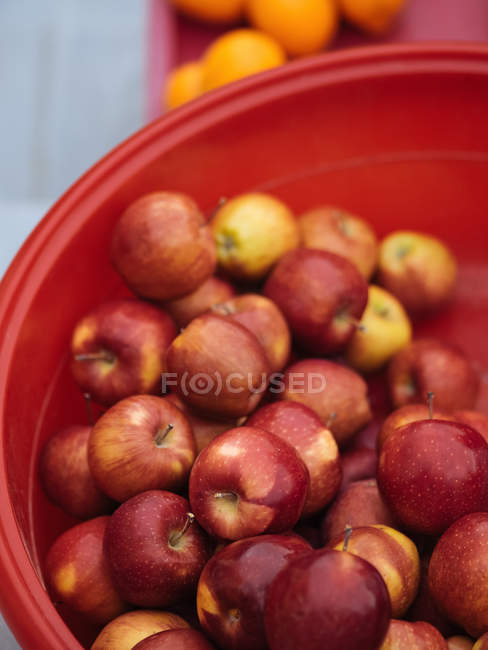 Крупный план свежих спелых яблок в красной чаше — стоковое фото