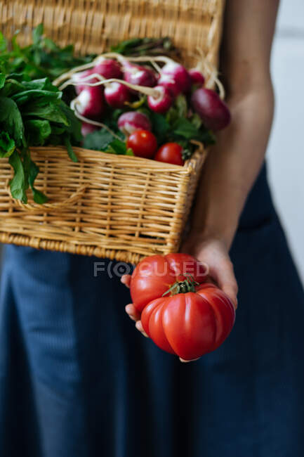 Женщина в рубашке и юбке держит в руках корзину с открытой крышкой, полной ярких свежих помидоров, перца, редиса и potherbs — стоковое фото