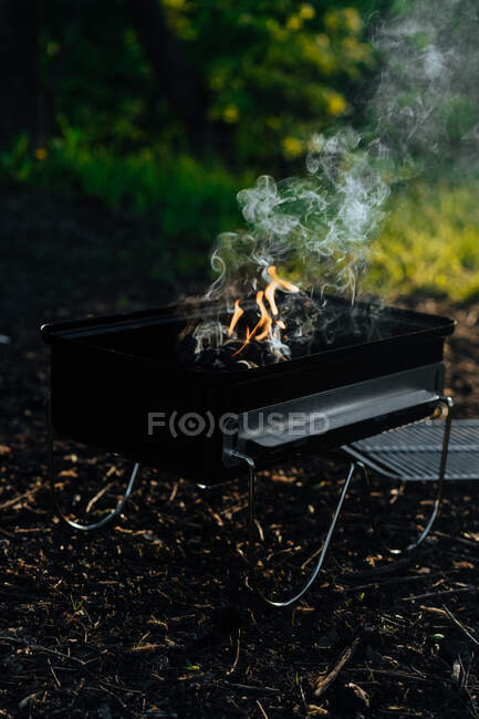 Plancha metálica con llama ardiente de carbón vegetal y humo colocada en el suelo en bosques - foto de stock