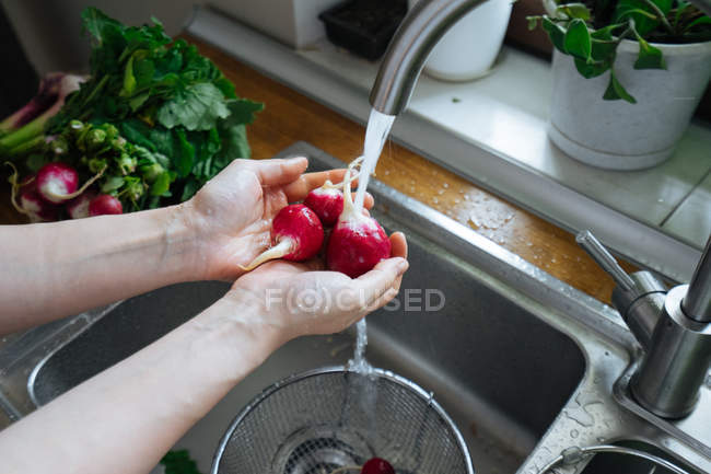 Hands washing fresh radishes in kitchen sink — Stock Photo