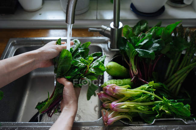 Manos lavando verduras y verduras frescas en fregadero de cocina - foto de stock