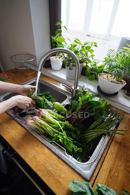 Hands washing fresh vegetables in kitchen sink — Stock Photo