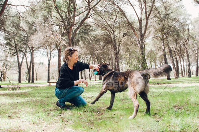 Grande cane marrone e proprietario che gioca nella foresta con la palla — Foto stock