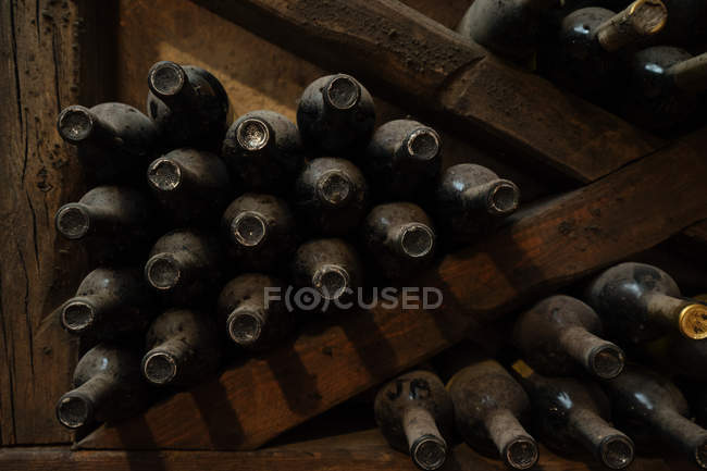 Wine vault full of bottles on dark wooden shelves — Stock Photo