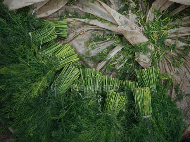 Bunches of fresh dill in heap on fabric at farmer market — Stock Photo