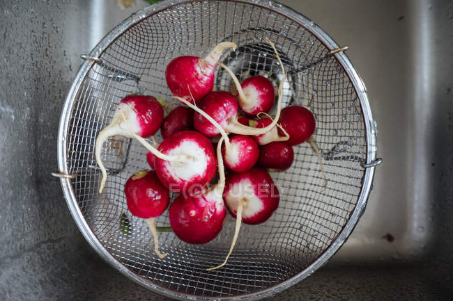 Laver les radis frais dans une passoire dans un évier — Photo de stock