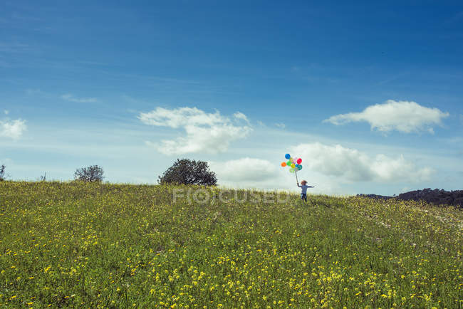Мальчик-дошкольник ходит по лугу с протянутой рукой с разноцветными воздушными шарами — стоковое фото