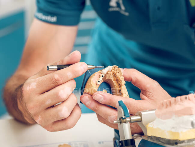 Крук стоматолог сидить і працює над зубною ниткою, тримаючи форму щелепи. — стокове фото