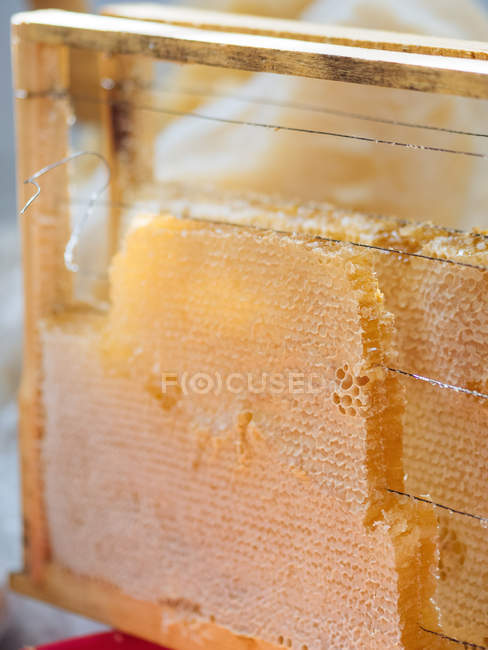 Primo piano di cellule di cera d'oro di favo riempito con miele biologico disposti su telaio di legno — Foto stock
