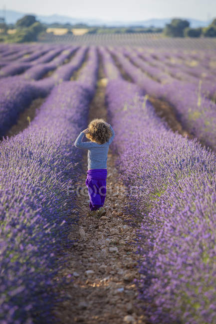 Adorabile bambina che cammina nel campo viola lavanda — Foto stock