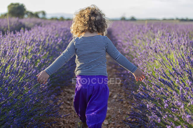 Little girl walking in purple lavender field and touching flowers — Stock Photo