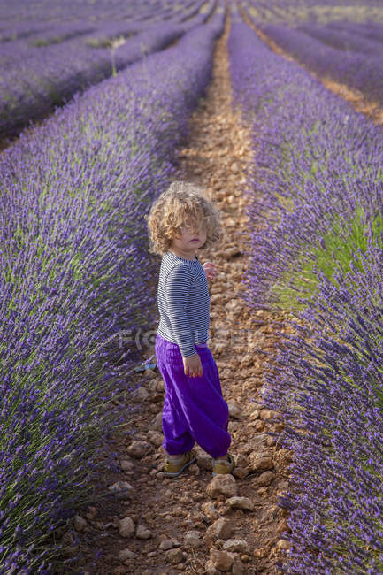 Entzückendes kleines Mädchen mit lockigem Haar steht in lila Lavendelfeld — Stockfoto