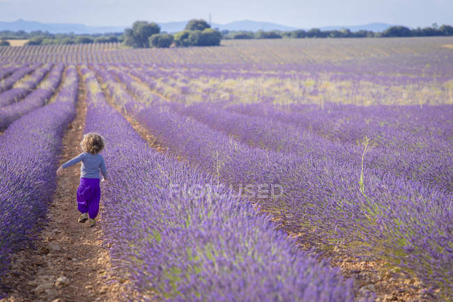 Маленькая девочка бежит по фиолетовому лавандовому полю — стоковое фото