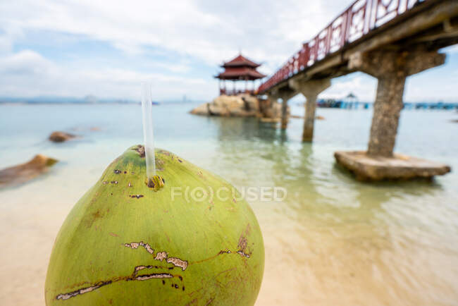 Erntetourist mit Kokosgetränk am Strand — Stockfoto
