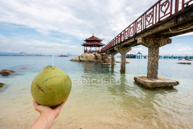 Crop tourist with coconut drink on beach — Stock Photo
